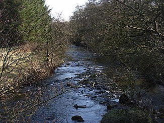 The Logan Water in the lower reaches