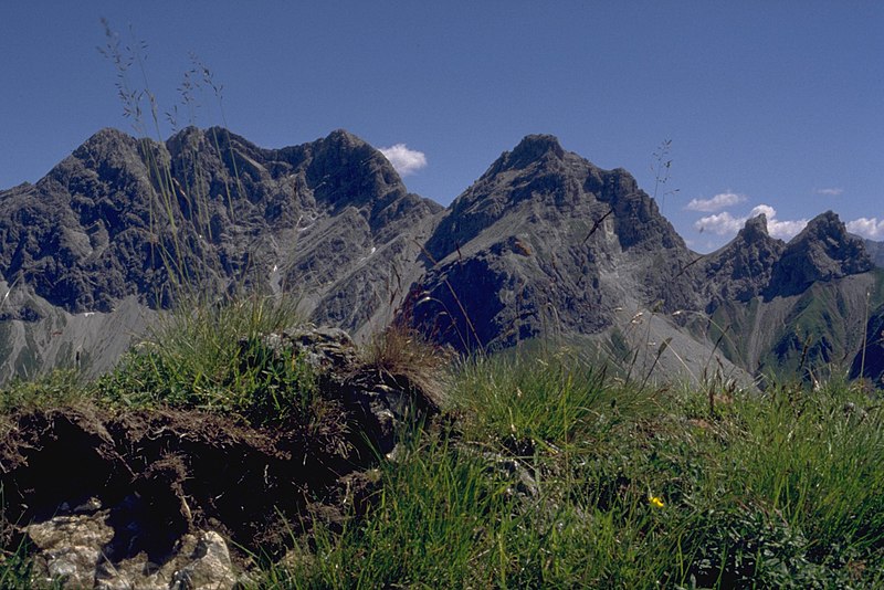 File:Wildengruppe vom Hoefats SO Grat.jpg