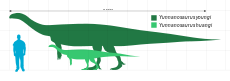 השוואה לאדם של יונאנוזאורוס