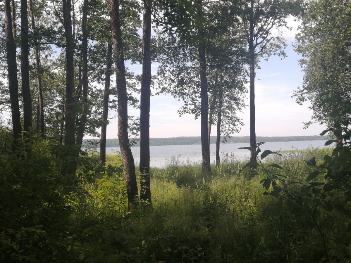 Нахимовское озеро Ленинградская область