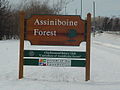 Assiniboine Forest