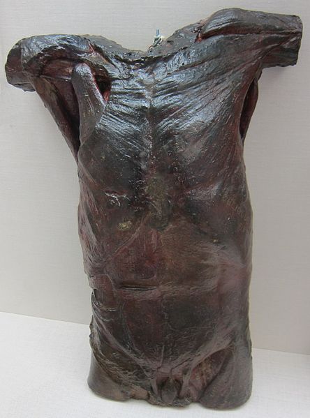 File:'Front of Male Torso' by Thomas Eakins.JPG