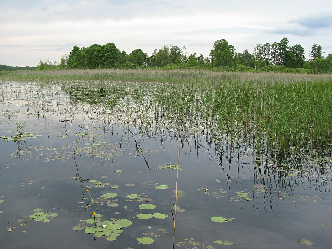 Nationalpark Polesie