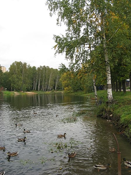 File:Пруд в Удельном парке (The pond in Udelny park) - panoramio.jpg