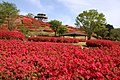 2021年4月29日 (木) 01:15時点における版のサムネイル