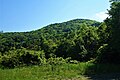 浮金登山口からの高柴山