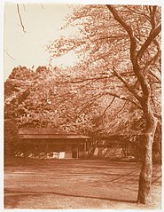 -Cherry Tree with House in Background- MET DP136191.jpg