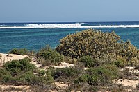 00 2875 Western Australia - Ningaloo Reef.jpg