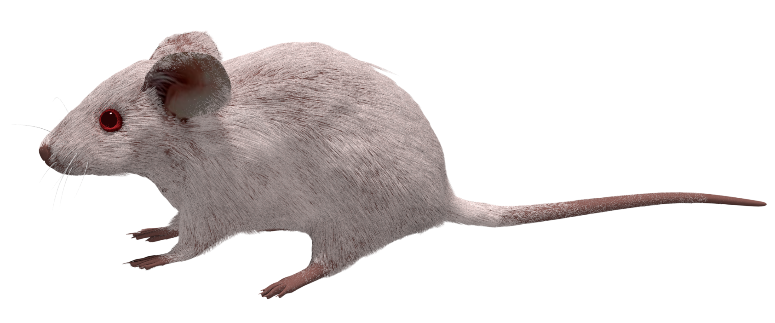 File:201707 mouse 3D white.svg - Wikimedia Commons