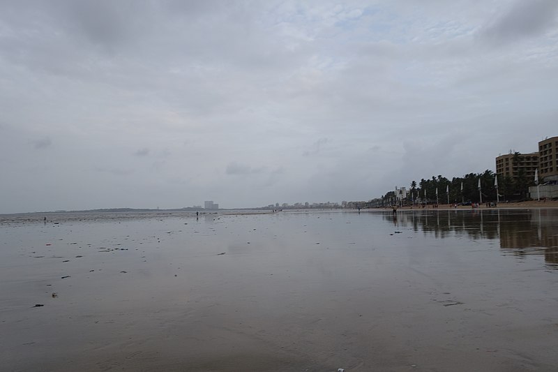 File:20170810 Juhu 5426 (37166859824).jpg