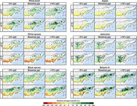 The response of six tree species common in Quebec's forests to 2 °C (3.6 °F) and 4 °C (7.2 °F) warming under different precipitation levels.