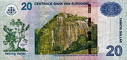 Centrale Bank Van Suriname: Taken, Organisatie, Kennis