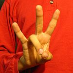 The "7" handshape produced with the the palm facing the camera