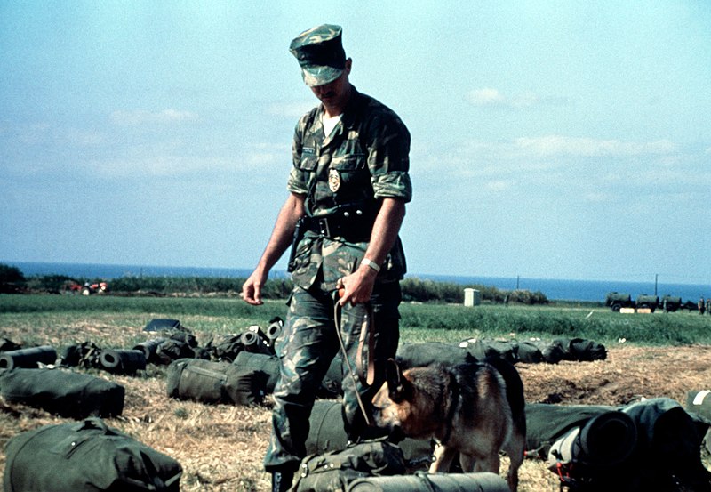 File:A Marine Corps customs officer and a narcotics alert dog search field gear for contraband at the Okinawa staging area. The gear belongs to Marines returning from training in Korea - DPLA - f037ec8803d70e4e7c0d07a9d42fd15c.jpeg