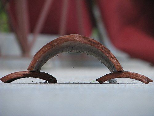 A Roof Tile Tunnel, Brazil