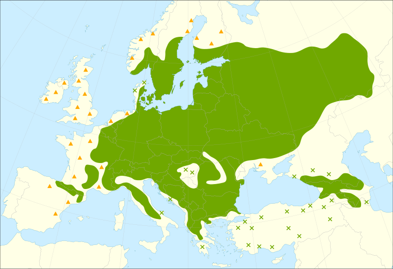 File:Acer platanoides range.svg