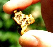 Alaska Gold Nugget, Blue Channel Project Alaska gold nugget Blue Channel Project.jpg