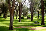 Roosevelt Park (Albuquerque, New Mexico)