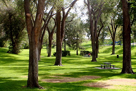 Roosevelt Park is a historic park in central Albuquerque