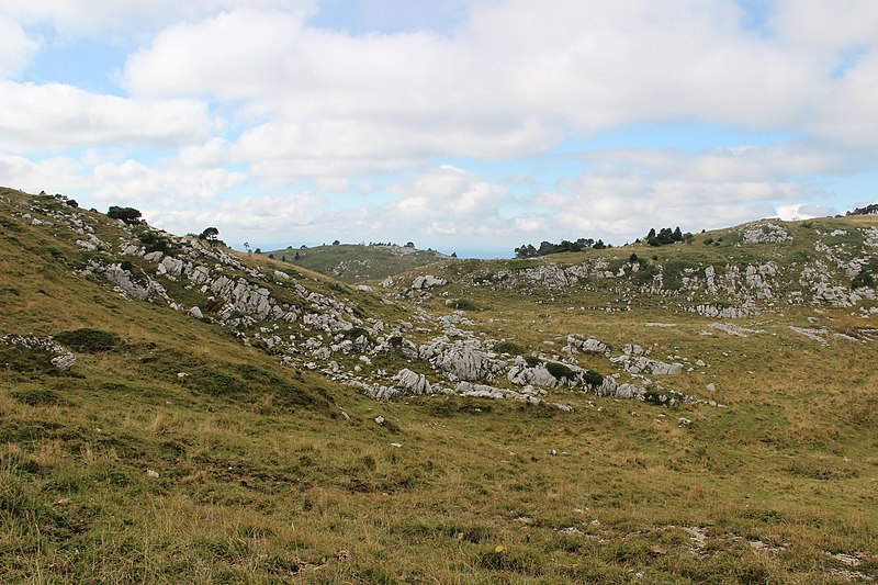 File:Alpage near Le Reculet - panoramio (2).jpg