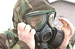 Thumbnail for M40 field protective mask