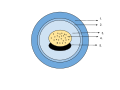 Vitelline membrane in an amphibian egg (2)