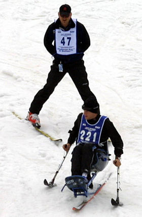 Image illustrative de l’article Ski alpin handisport