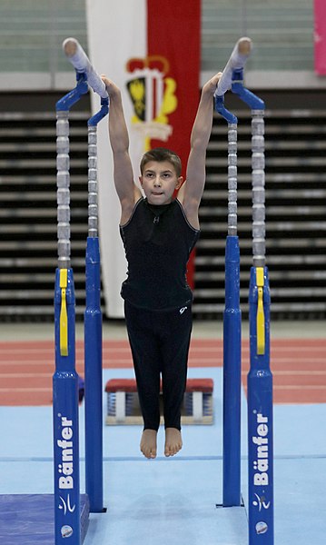 File:Austrian Future Cup 2018-11-23 Training Afternoon Parallel bars (Martin Rulsch) 0053.jpg