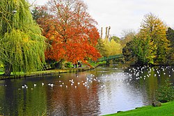 Autumn pond, Beddington, London Borough of Sutton.jpg