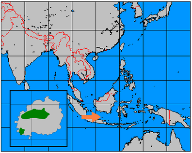 Bawean - Wikiwand