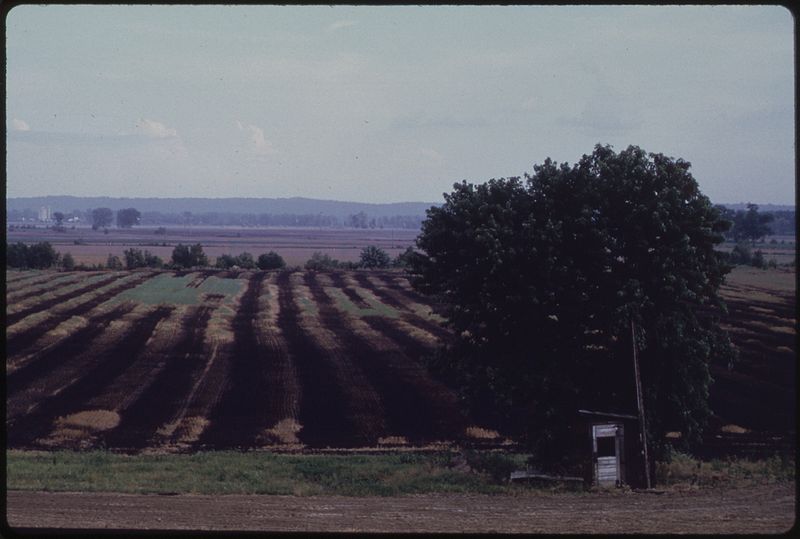 File:BURNT FIELD - NARA - 552541.jpg