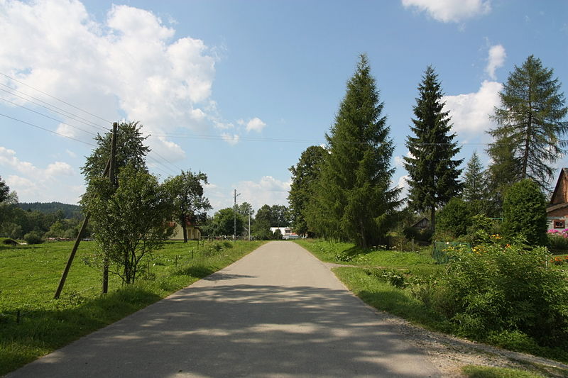 File:Bandrów Narodowy - Road 02.jpg