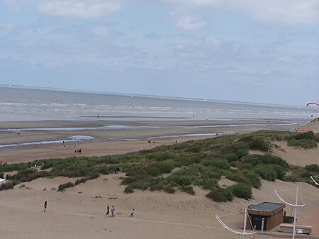 ไฟล์:Beach-dunes.jpg