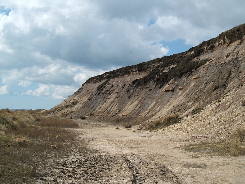 File:Below the cliff at Hengistbury Head - geograph.org.uk - 4777465.jpg