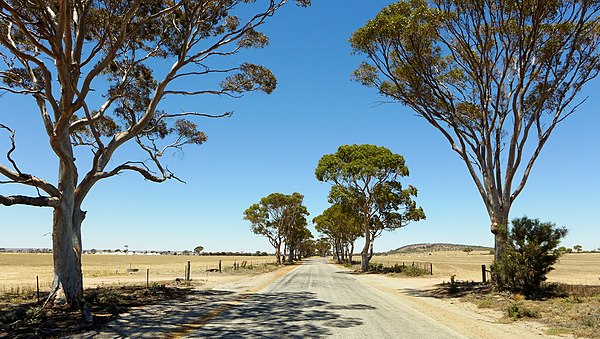 Bencubbin–Kellerberrin Road