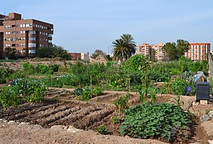 Benimaclet: El poble, Actualitat, Patrimoni