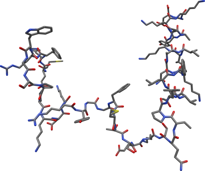 File:Beta endorphin 3D stick.png