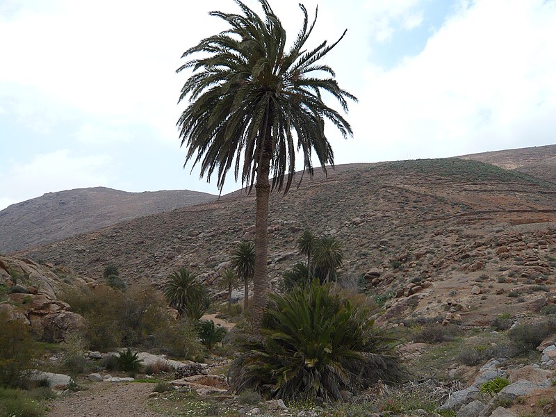 File:Betancuria, Las Palmas, Spain - panoramio.jpg