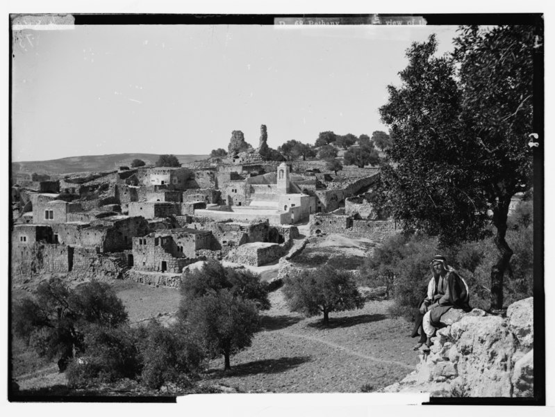 File:Bethany. General view of the village LOC matpc.05913.tif