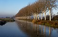 * Nomination near Elst-NL, view in the morning to the Linge in the autumn --Michielverbeek 22:58, 2 December 2019 (UTC) * Promotion  Support Good quality. --Steindy 00:06, 3 December 2019 (UTC)  Support in my exes the best of the 4 --Ralf Roletschek 00:08, 3 December 2019 (UTC)