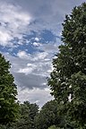 Blacklick Woods-Summer Sky 1.jpg