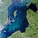 Bloom-filled Baltic.jpg