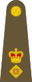 Знаки розрізнення підполковника британської армії