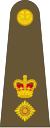 Oberstleutnant