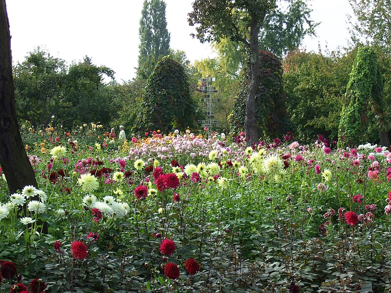 File:Britzer Garten Rundgang 15.jpg