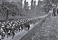 歐登瓦德山進行皇帝演習的德軍步兵（1888）