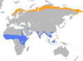 Calidris temminckii distribution map.png