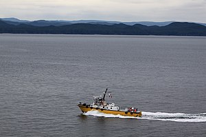 Canadian pilot, near Port Hardy BC.jpg