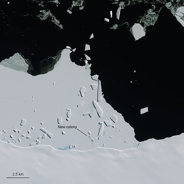 File:Cape Gates, Antarctica ESA22158823.jpeg