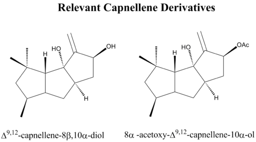 Capnellene Drugs.png